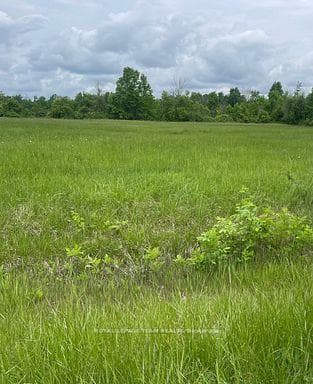 3447 Donnelly Drive N, Manotick - Kars - Rideau Twp and Area, ON K0G 1J0