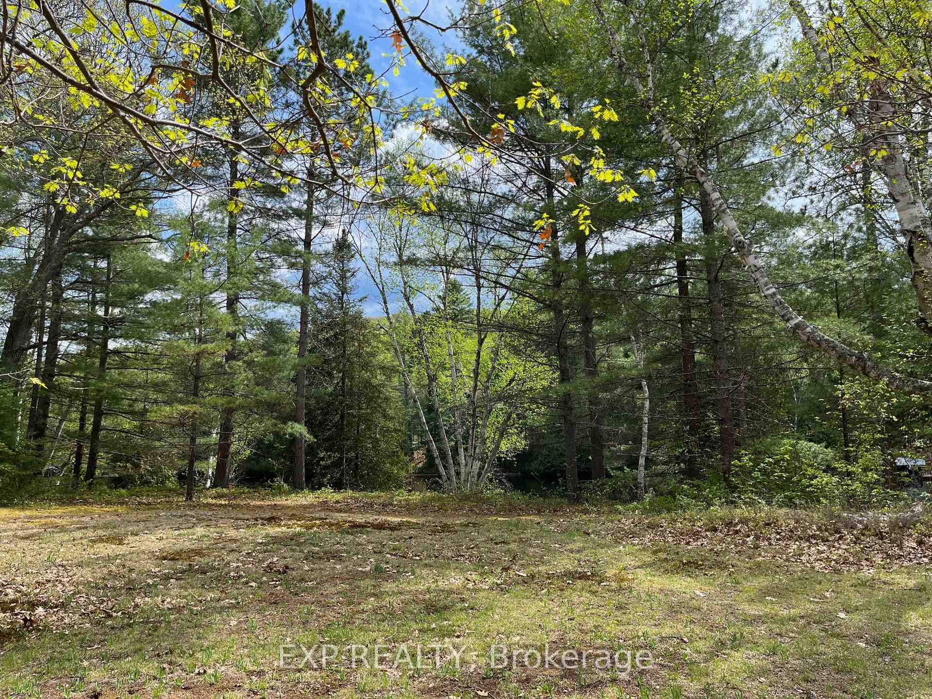 Lot 37 Sandy Shores Trail, Madawaska Valley, ON K0J 1B0