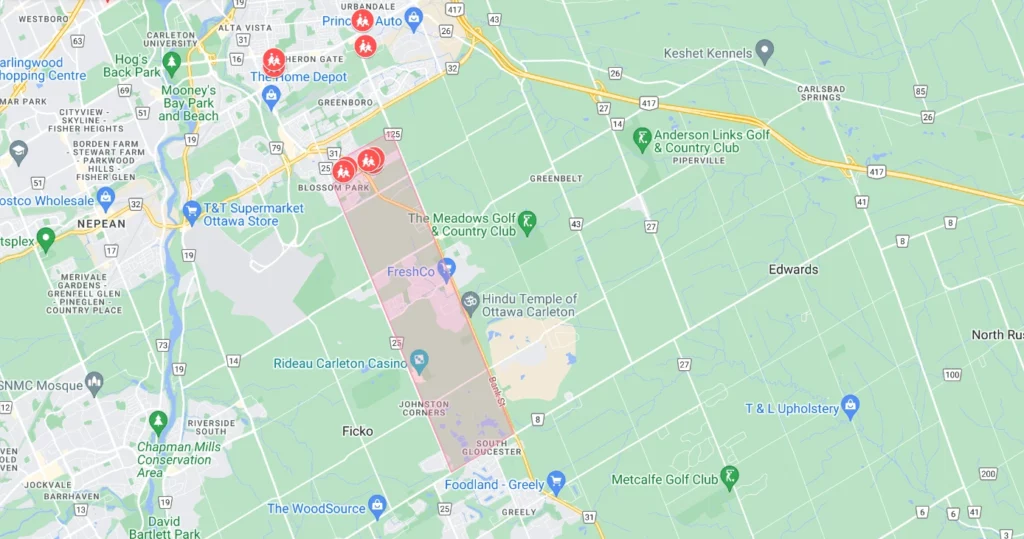 schools in Blossom Park
